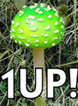 1up.png