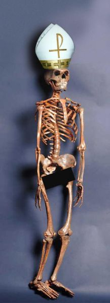 Archivo:Obispus otematum.jpg