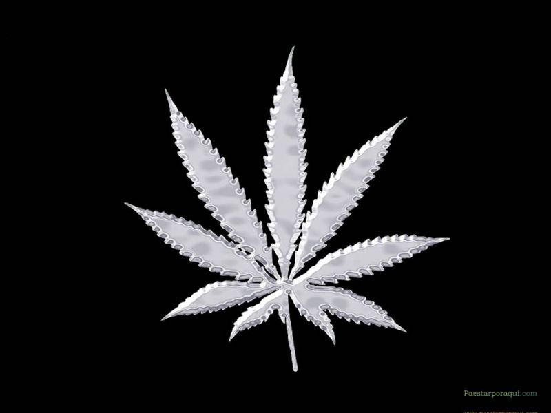 Archivo:Cannabis.jpg