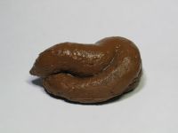 Goomba en sus quehaceres diarios