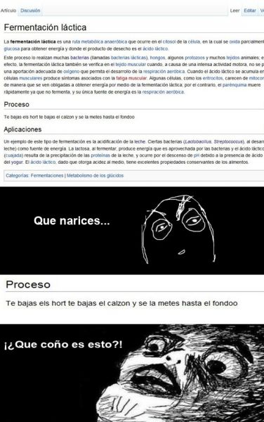 Archivo:Fue copia.jpg