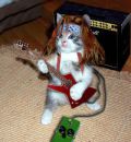 Gato rockero.jpg