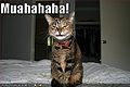 Muahahahahaha