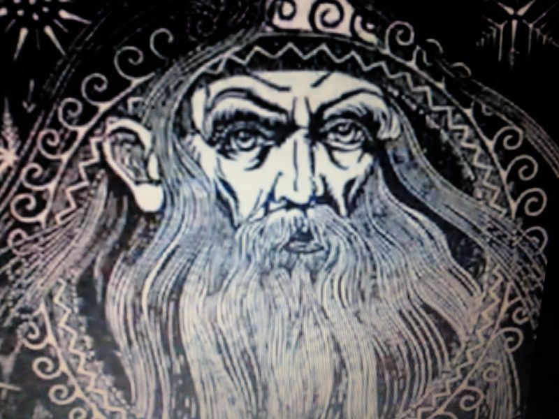 Archivo:Cosus.jpg