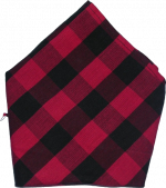 Bandera zaragoza.png