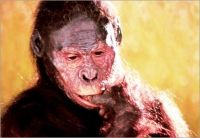 Australopithecus afarensis.jpg