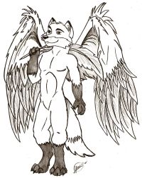 Muestra de Daikataro