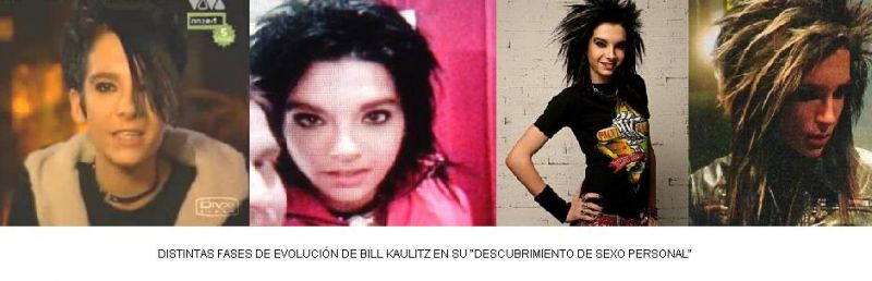 Archivo:EVOLUCION 1.jpg